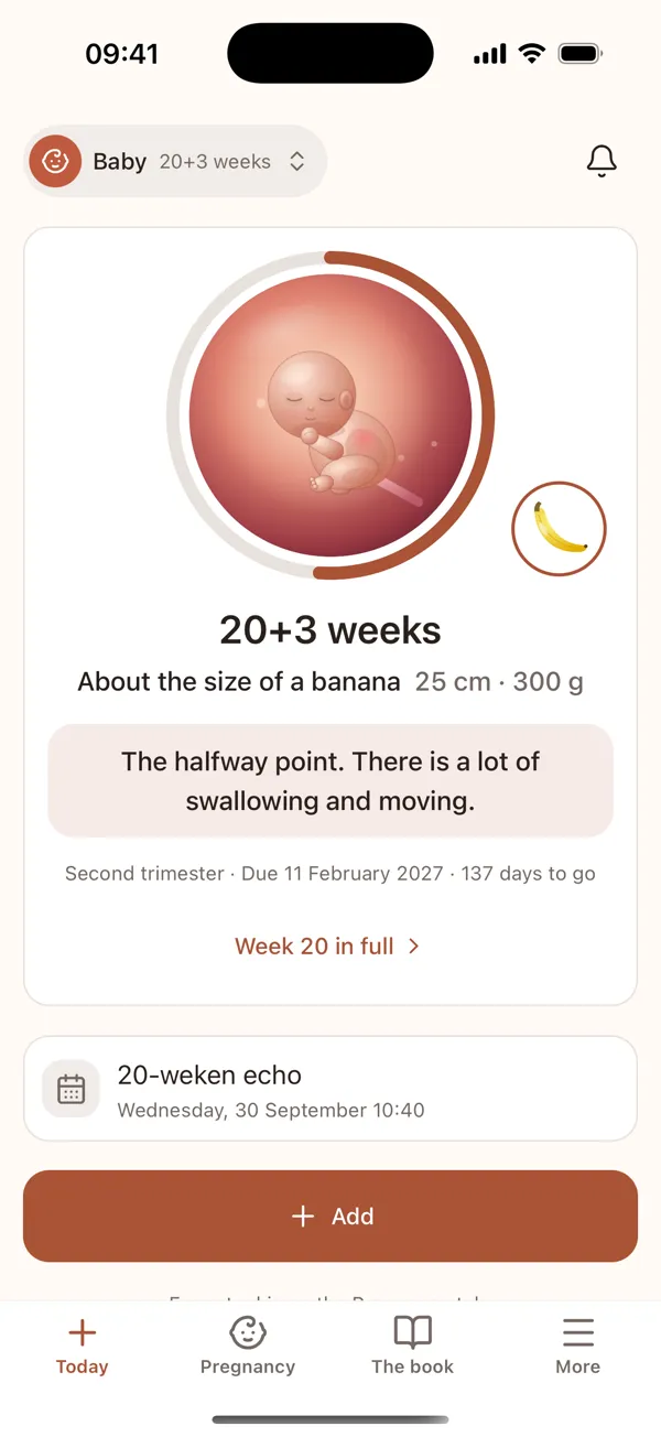 The pregnancy home at 20 weeks: the baby, the size as a banana, the next appointment and Add