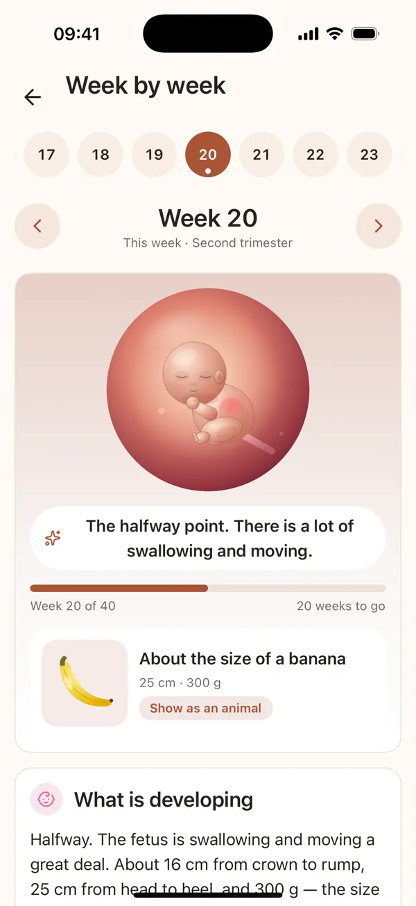 Week by week: the strip of weeks, the baby for week 20 and what is developing
